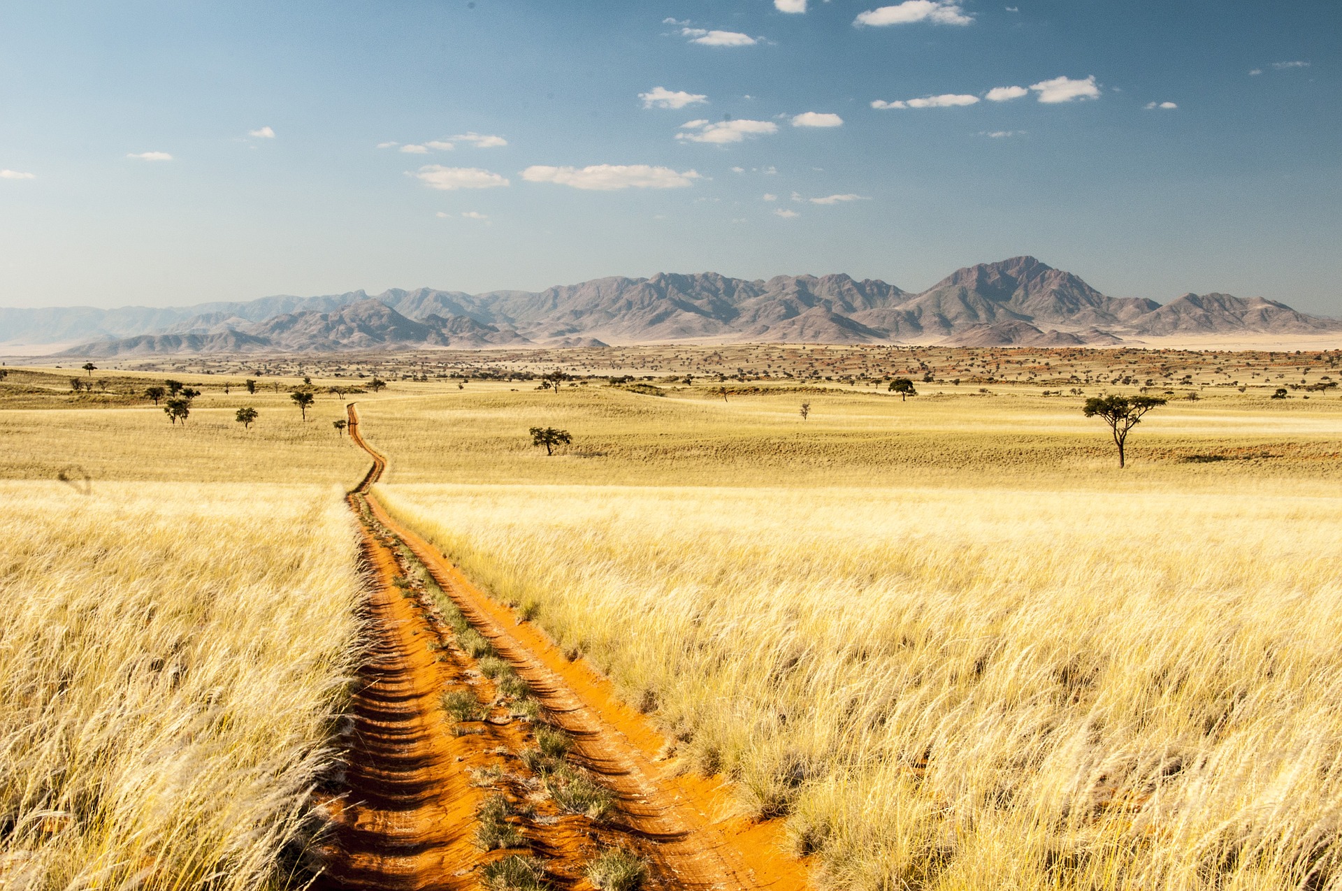 Avventura Namibia - viaggio con campi tendati 2022