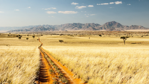 Avventura Namibia - viaggio con campi tendati 2022