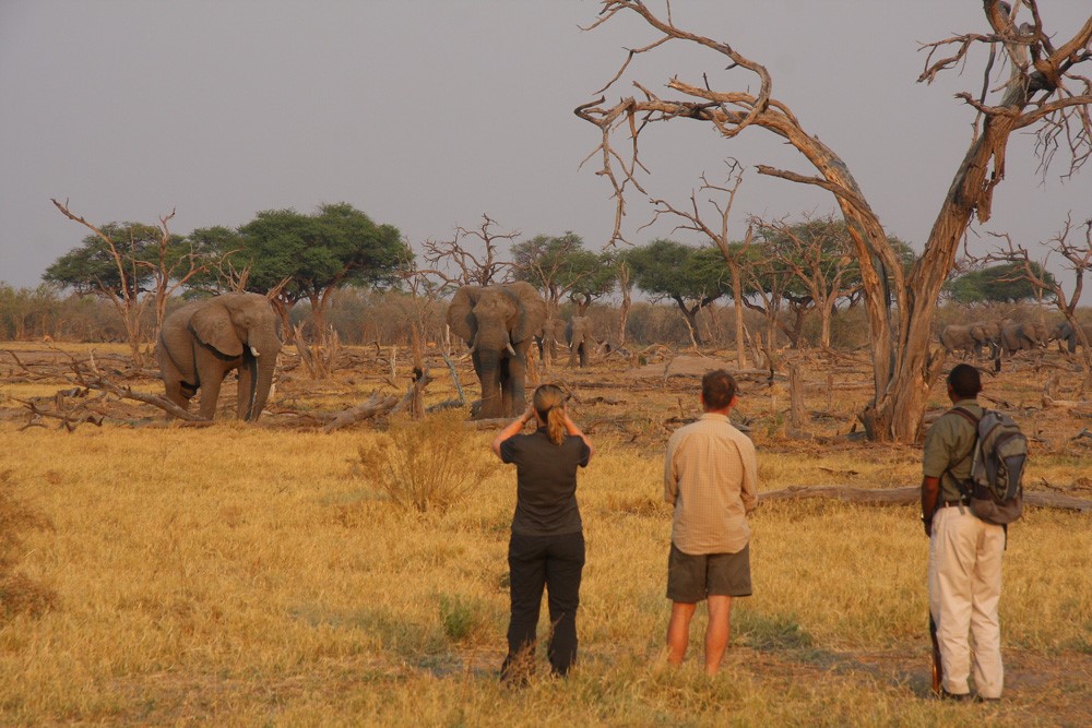 BOTSWANA EXPERIENCE
