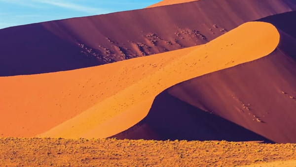 La Namibia in Libri