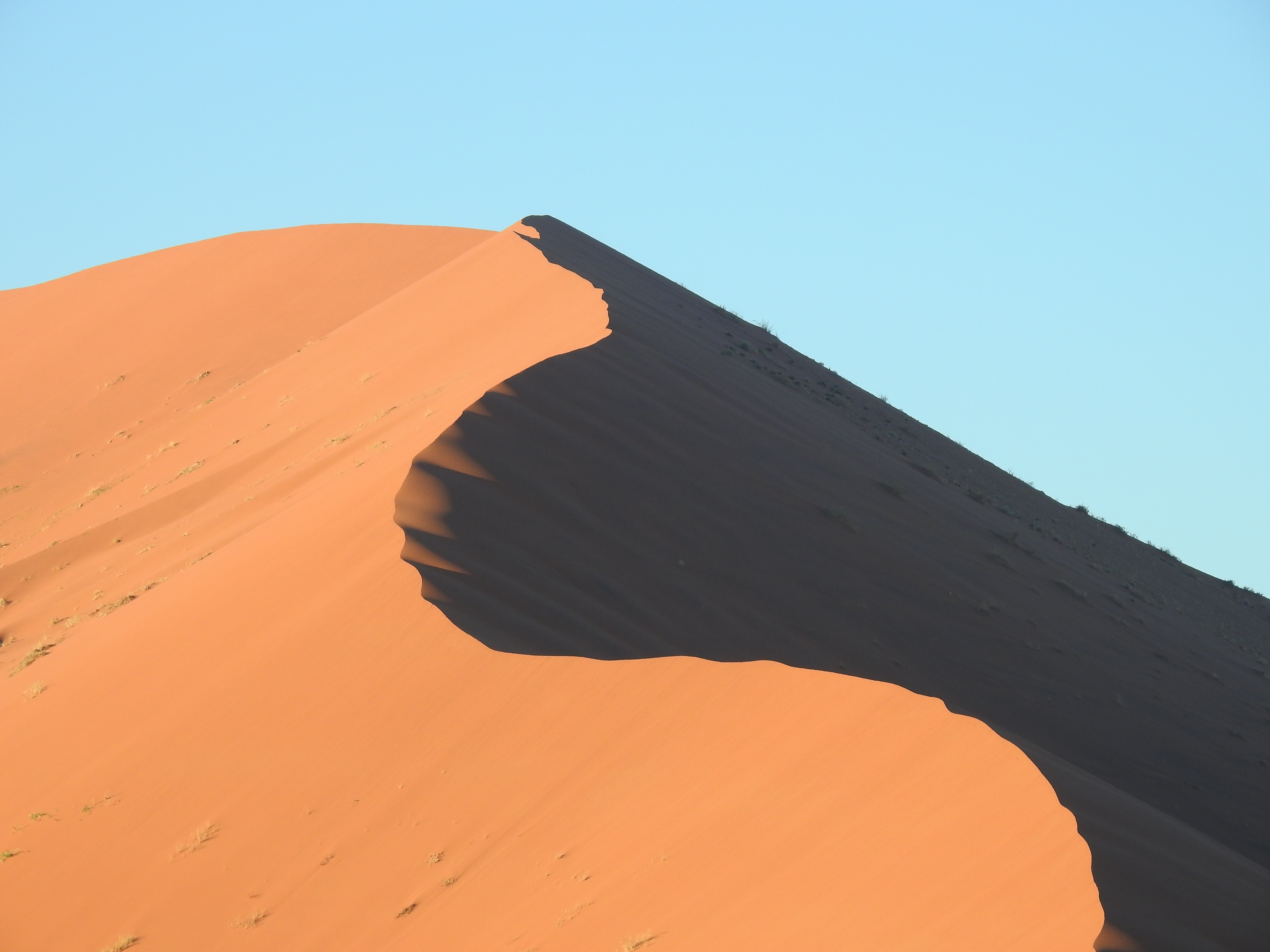 VIAGGIO CON CATE: NAMIBIA EASY: 05-15 Marzo 2026