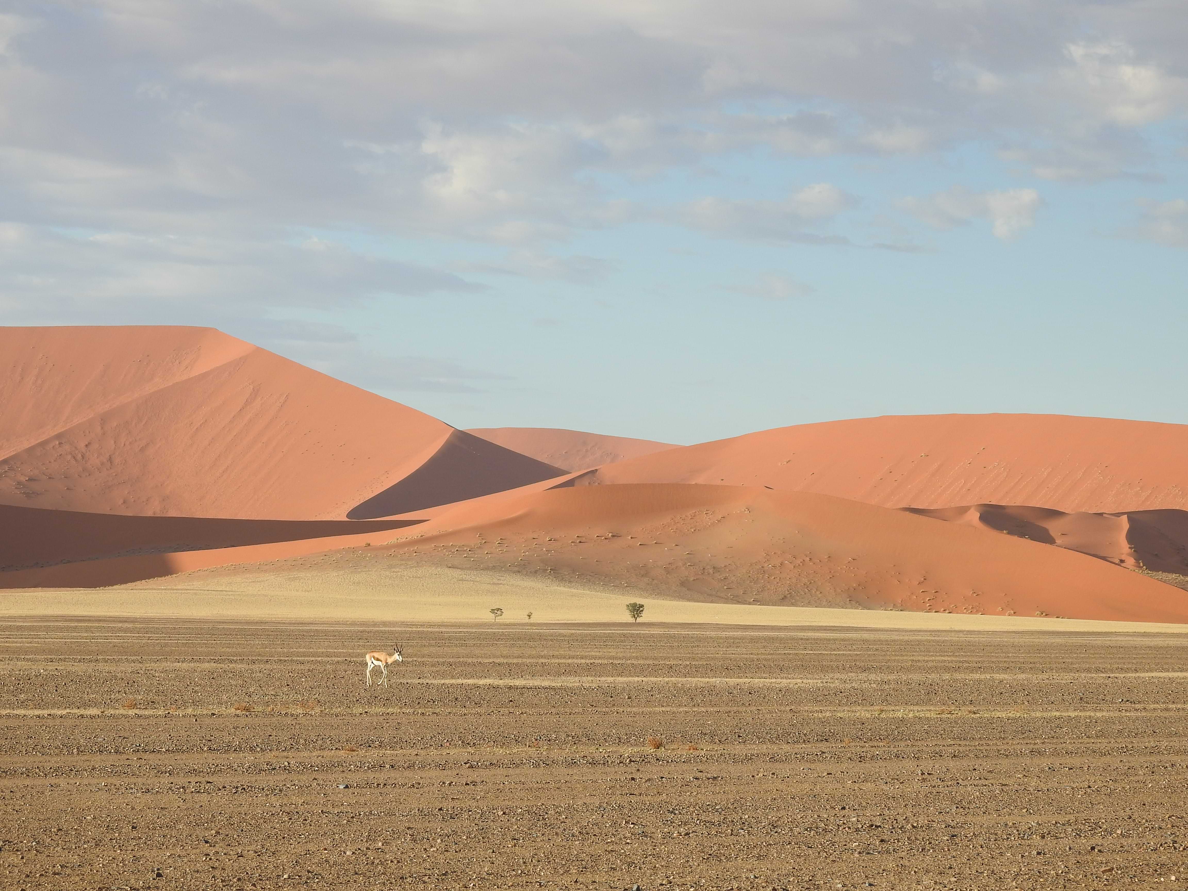VIAGGIO CON CATE: La Namibia a Capodanno 2027