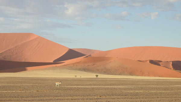 VIAGGIO CON CATE: La Namibia a Capodanno 2027