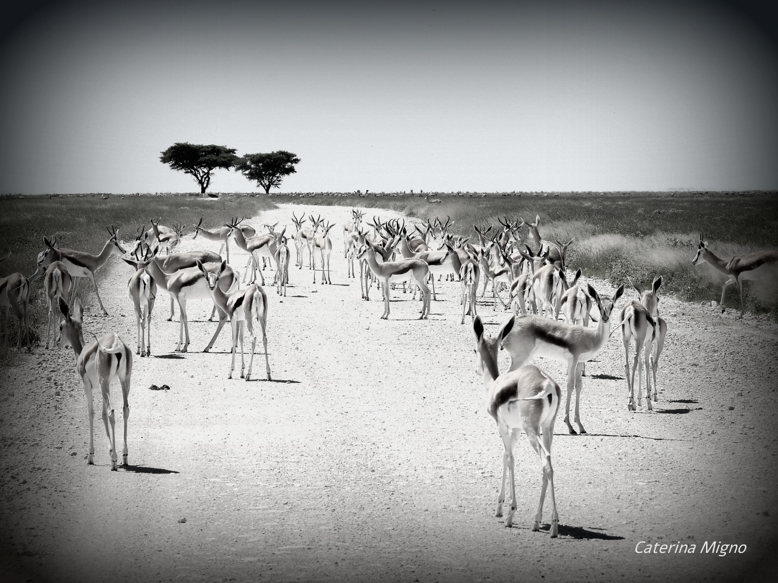 Namibia a Capodanno Namibia Capodanno