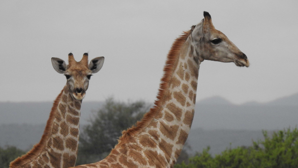 VIAGGIO CON CATE: PASQUA IN NAMIBIA CON TOUR LEADER DALL'ITALIA