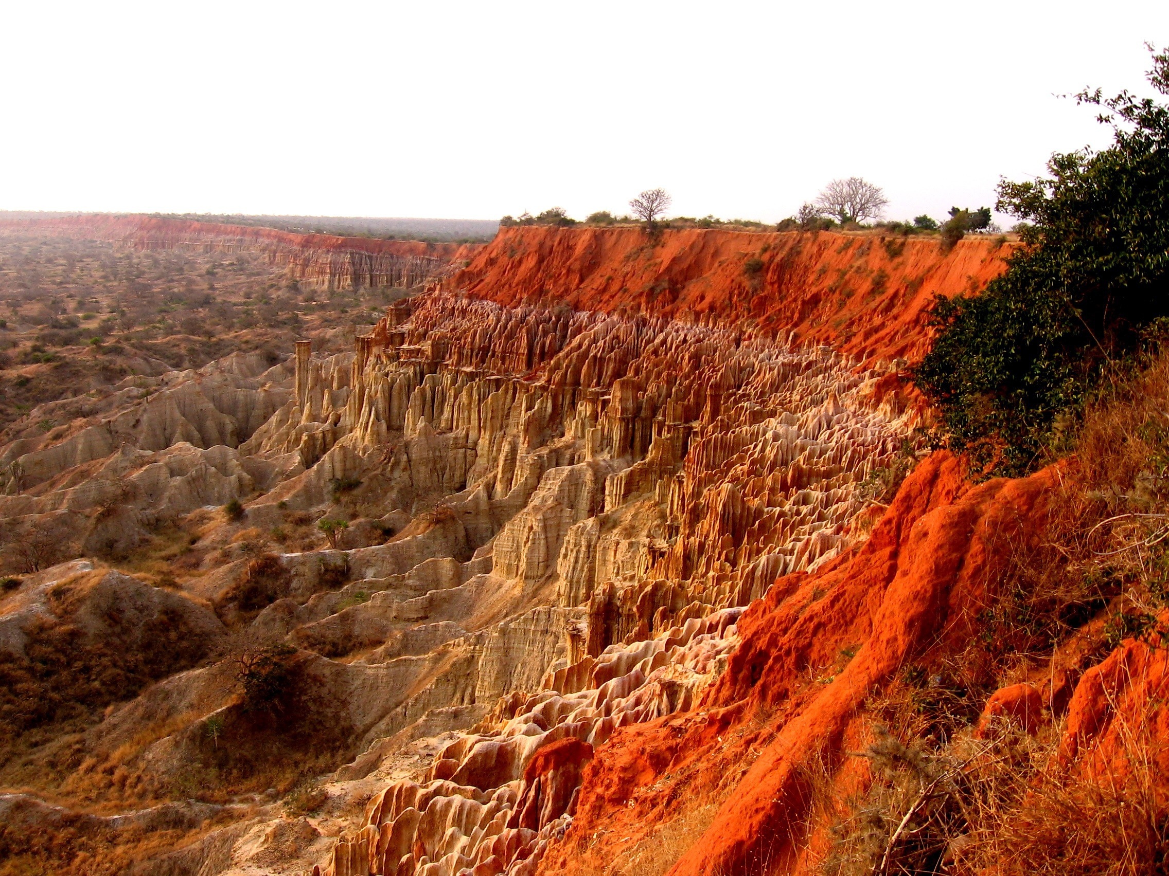 Africa Image
