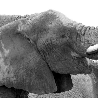 Dscn0173 Renamed 4059