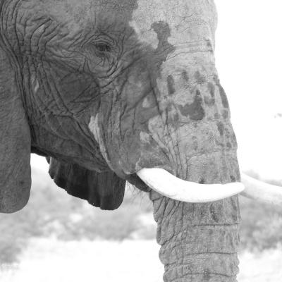 Dscn0178 Renamed 10741