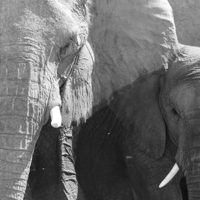 Dscn0200 Renamed 17971