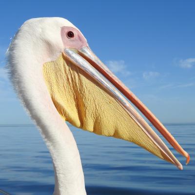 Dscn0275 Renamed 27085