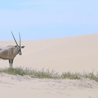 Dscn0397 Renamed 2249