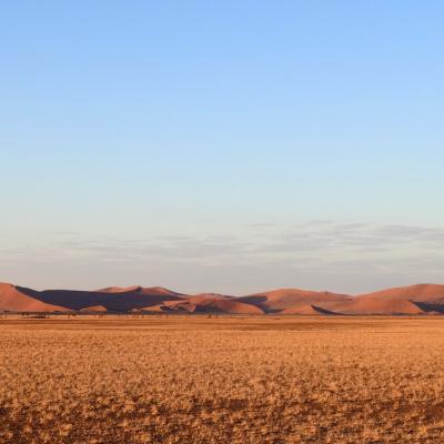 Dscn0447 Renamed 21216