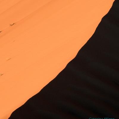 Dscn0459 Renamed 22679