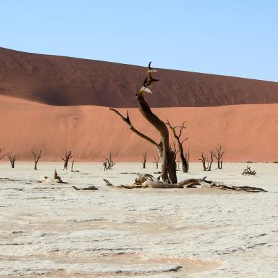 Dscn0469 Renamed 9008