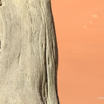 Dscn0489 Renamed 10284