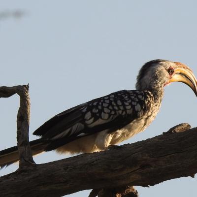 Dscn0592 Renamed 28076