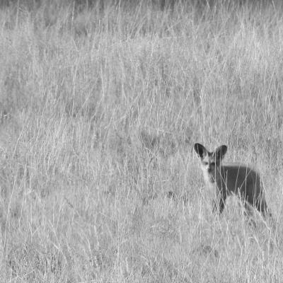 Dscn0613 Renamed 25277